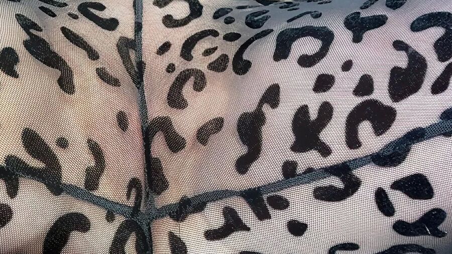 Cat Print Suit Photoset