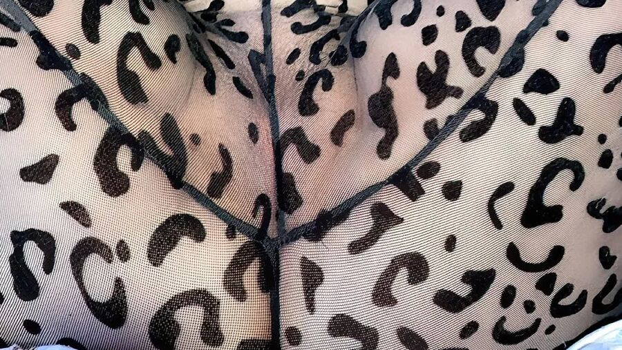 Cat Print Suit Photoset