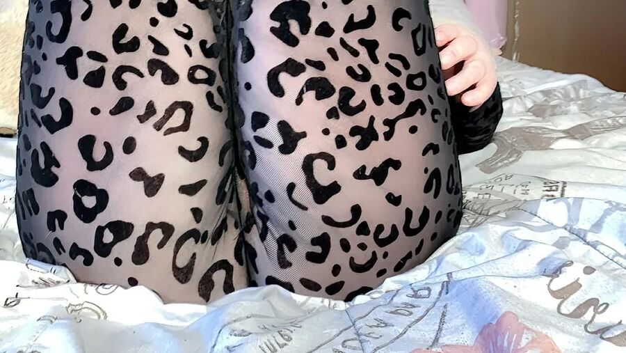 Cat Print Suit Photoset