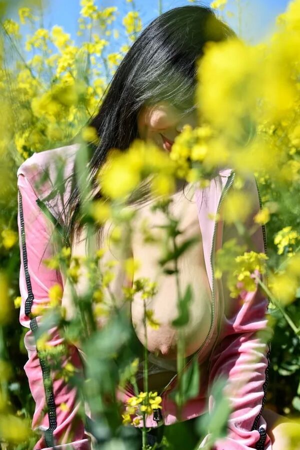 Sunny Chocolat: Spring Fields