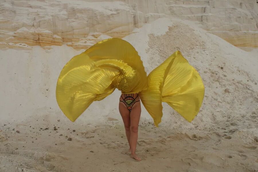 Golden Wings