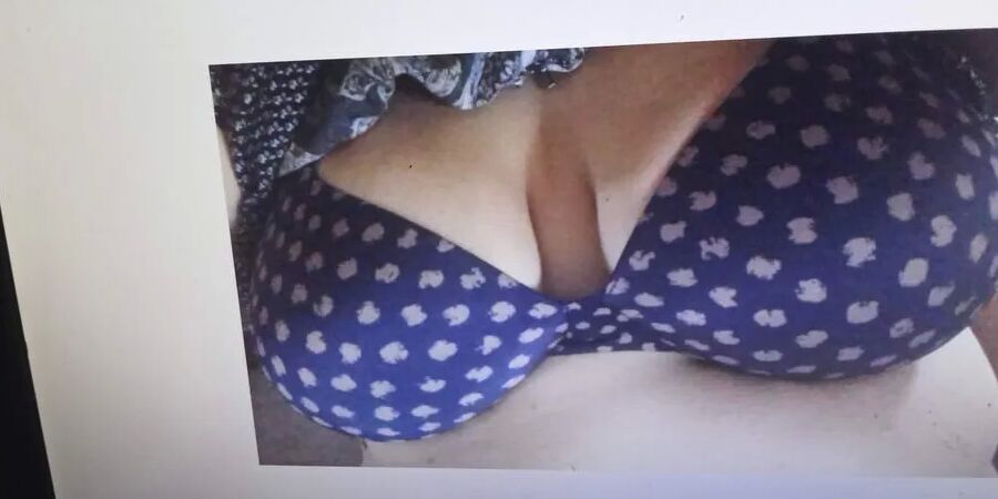 Sexydixie27 bra pics