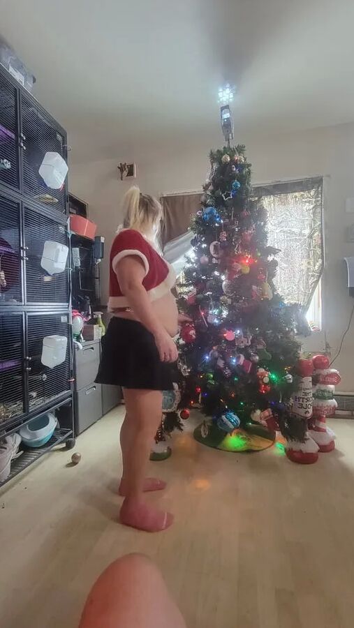 Christmas photos