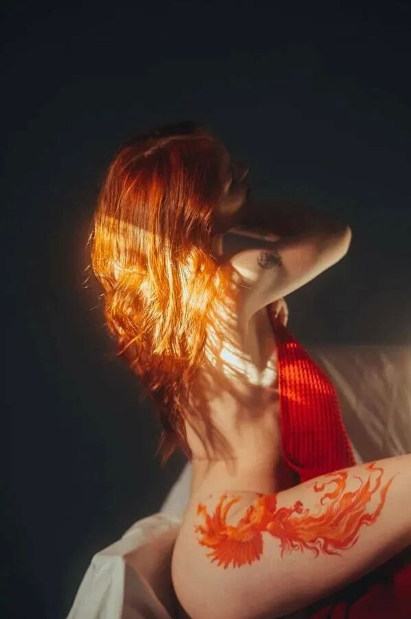 Fox Free Photos