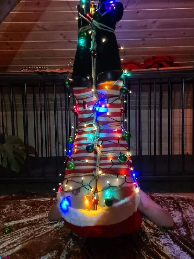 Christmas fun