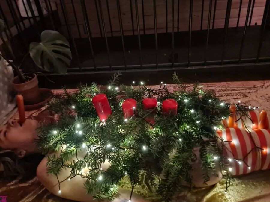 Christmas fun