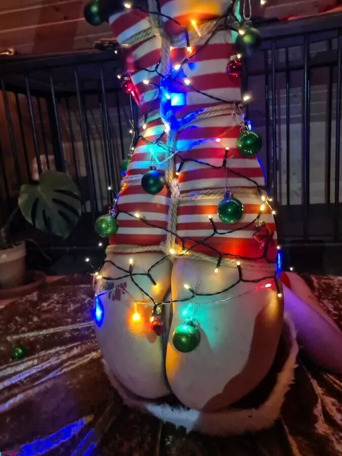 Christmas fun