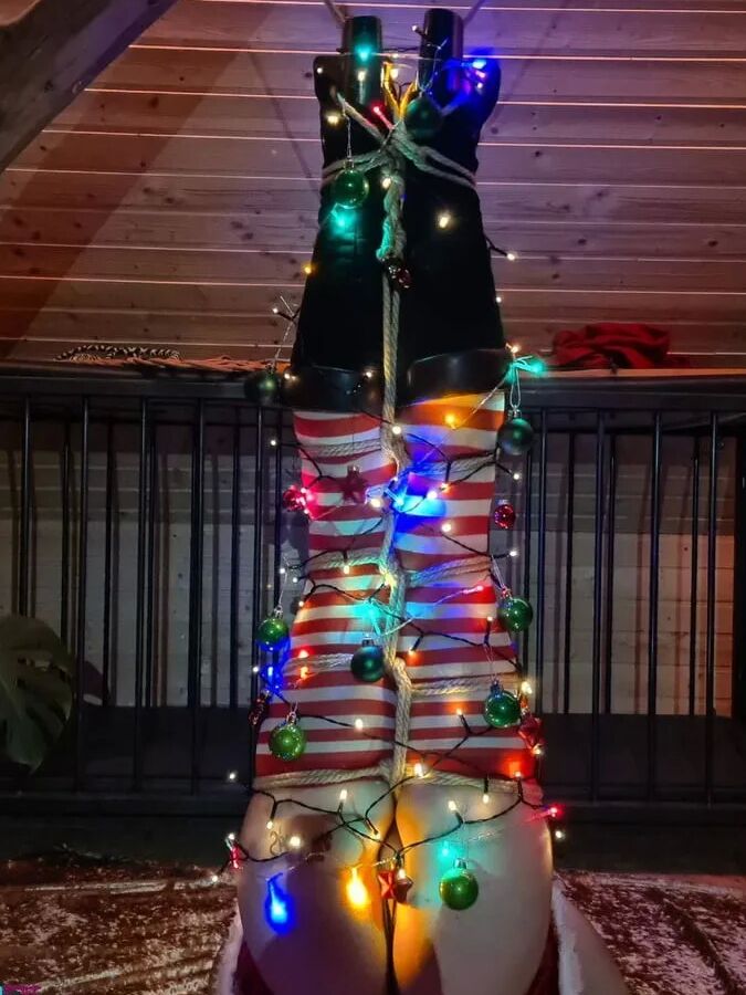 Christmas fun