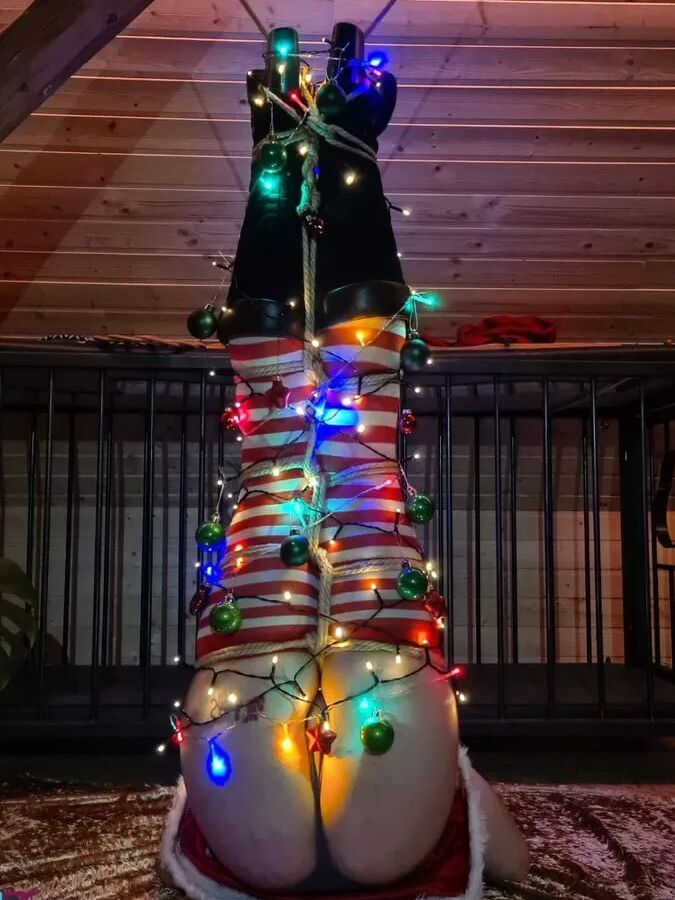 Christmas fun