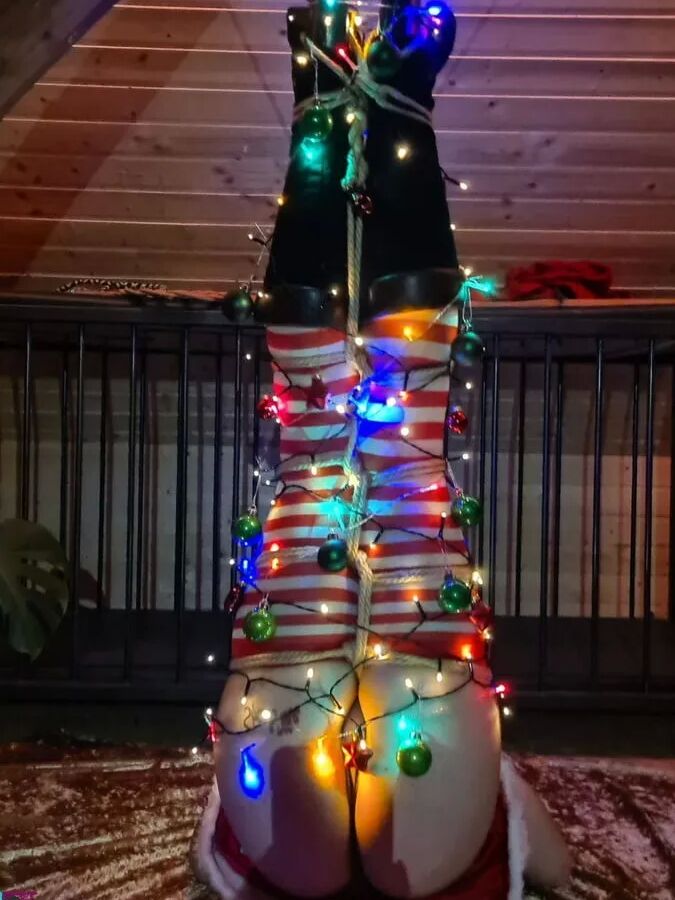 Christmas fun