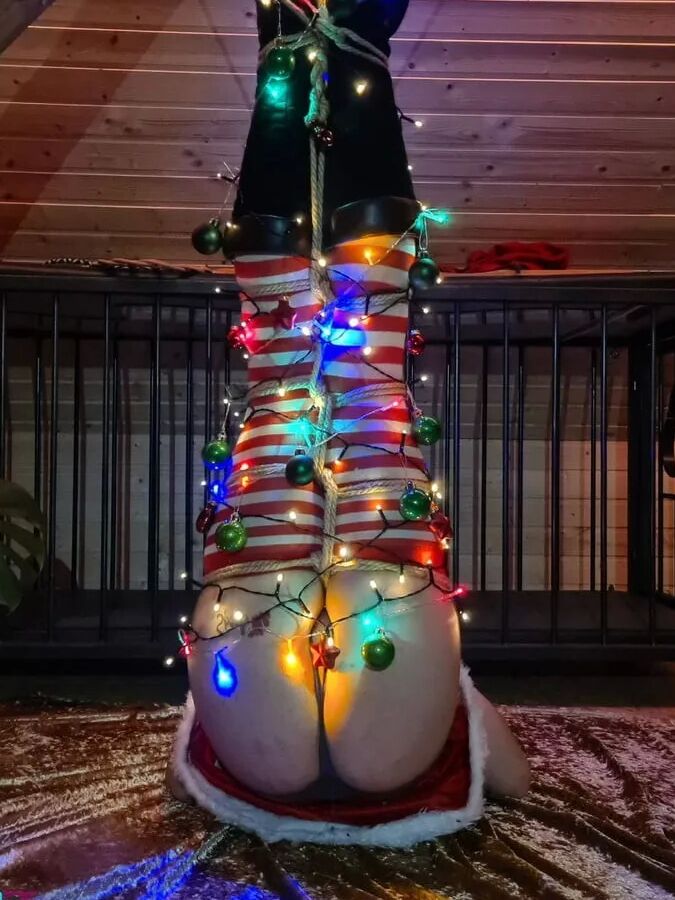 Christmas fun