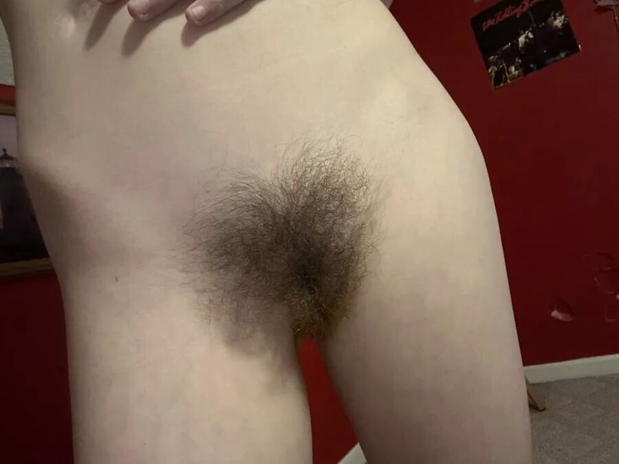 ホットシャワー