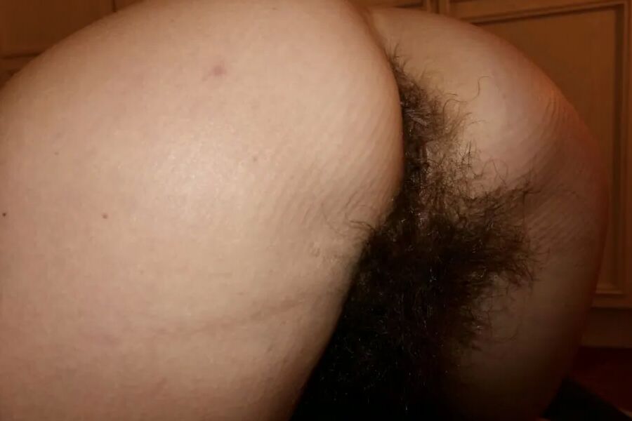 Hairy Sara #1