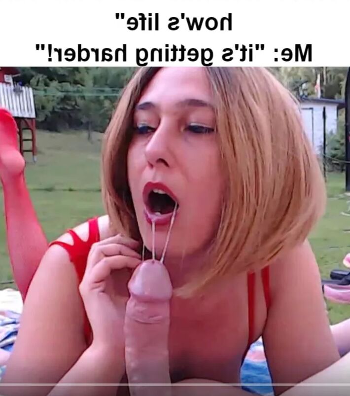 Memes