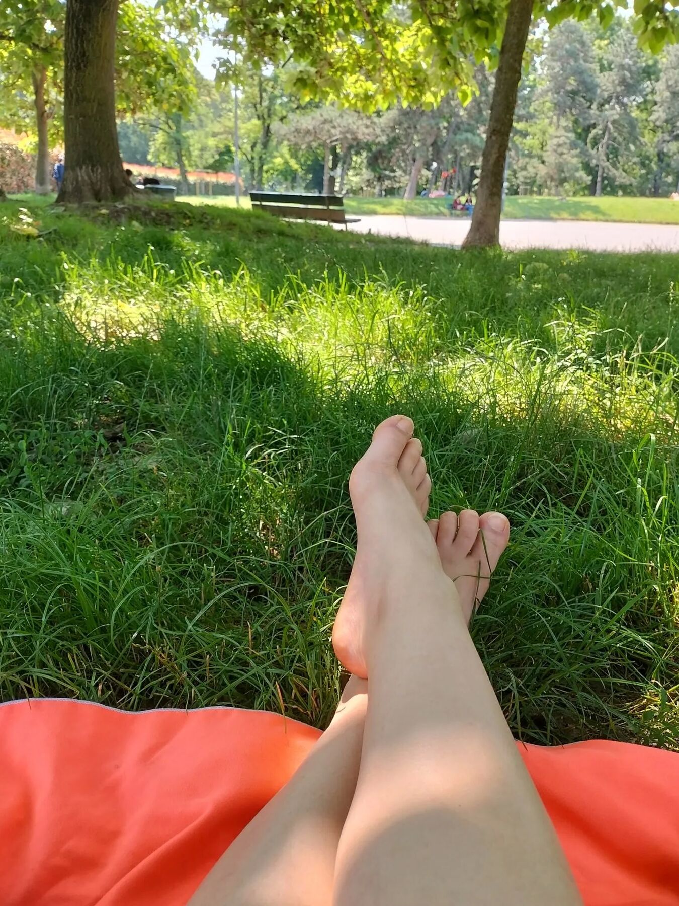 Ashely Free Photos