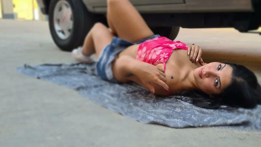Priscilla Free Photos