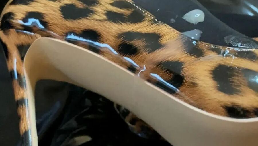 Black Leggings and Animal Print High Heels