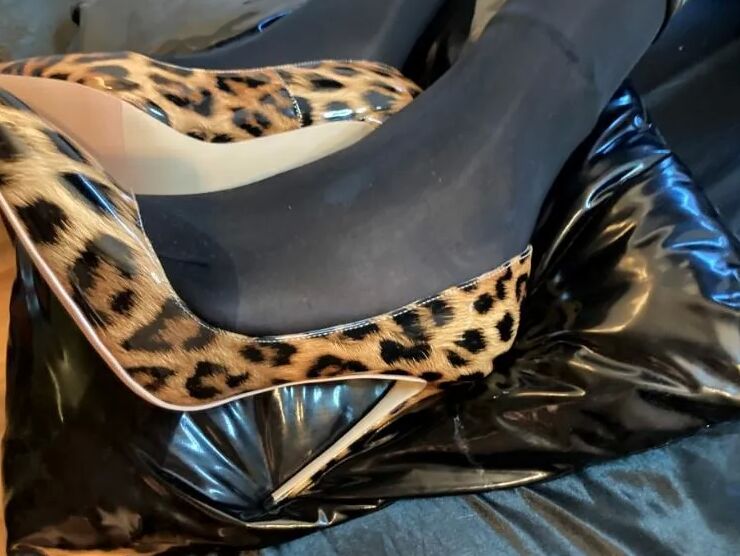 Black Leggings and Animal Print High Heels