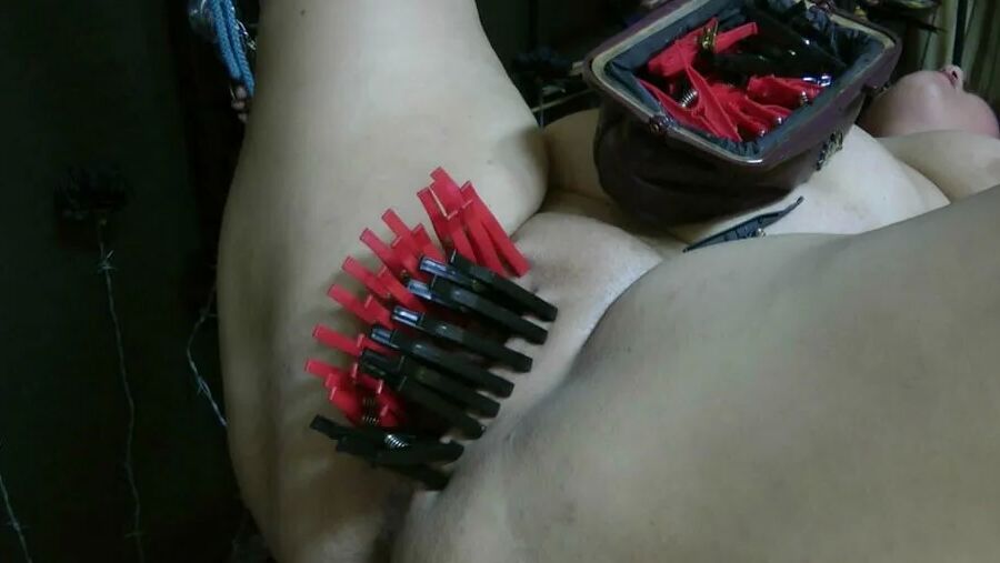 Obedience exercises