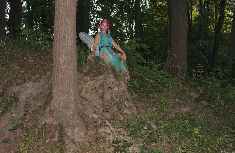 Fairy near the tree