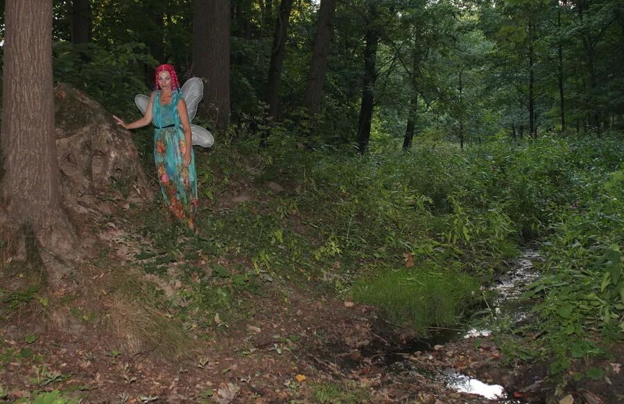 Fairy near the tree