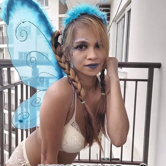 Bikini Butterfly