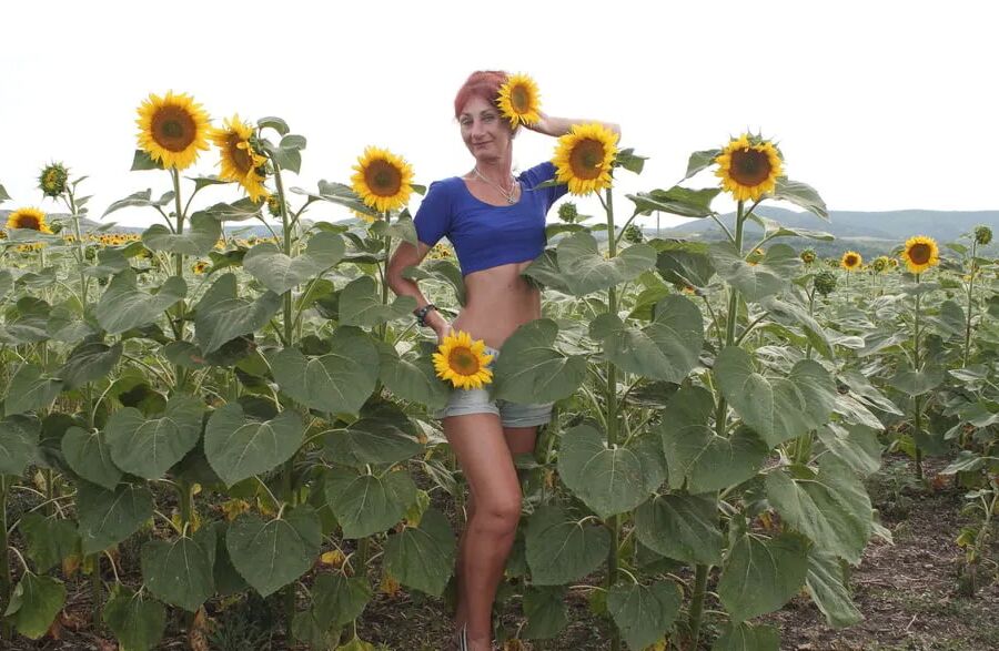 Sunflowers