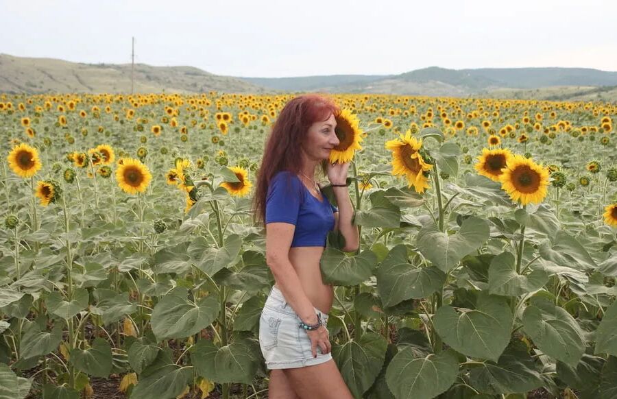 Sunflowers