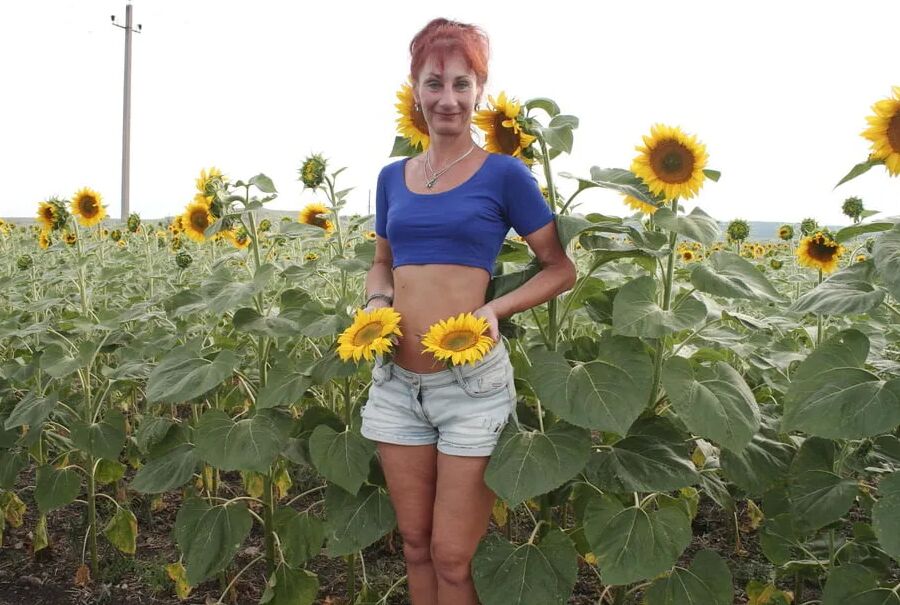 Sunflowers