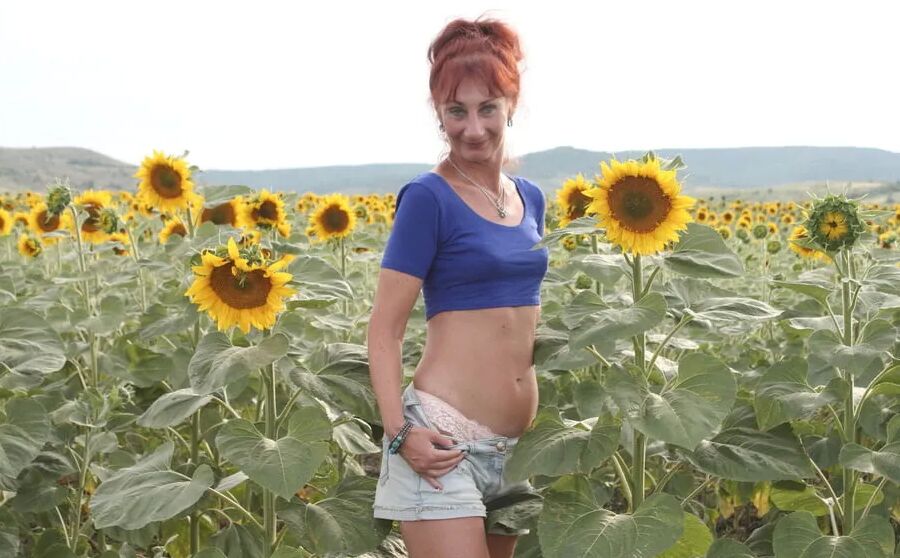 Sunflowers