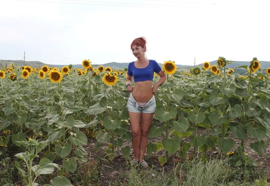 Sunflowers