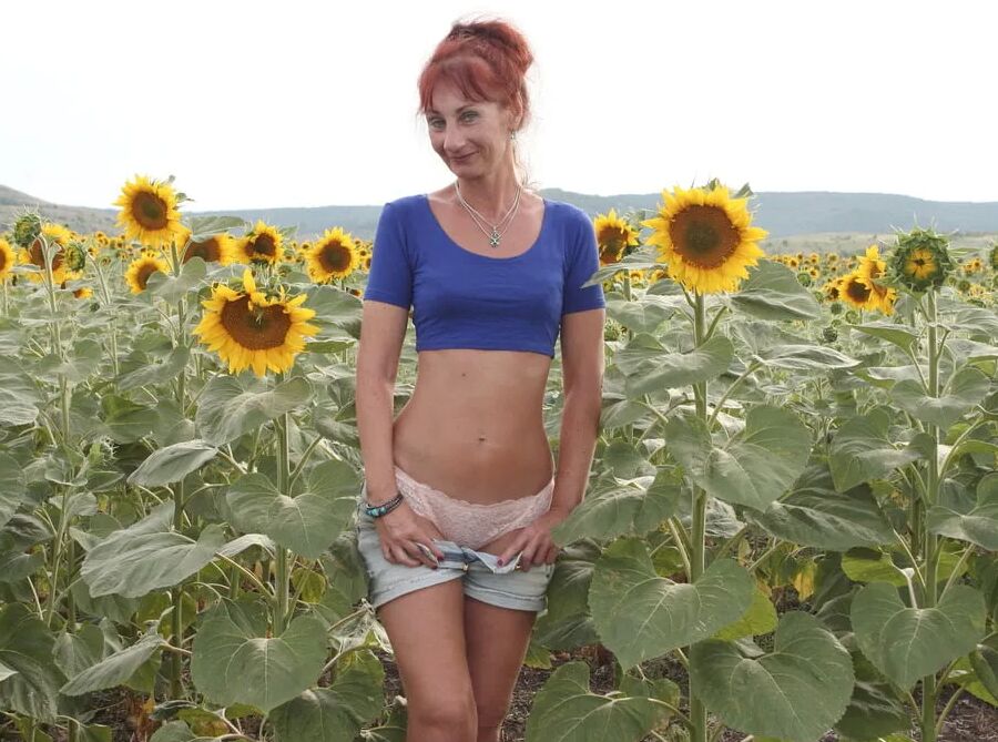 Sunflowers