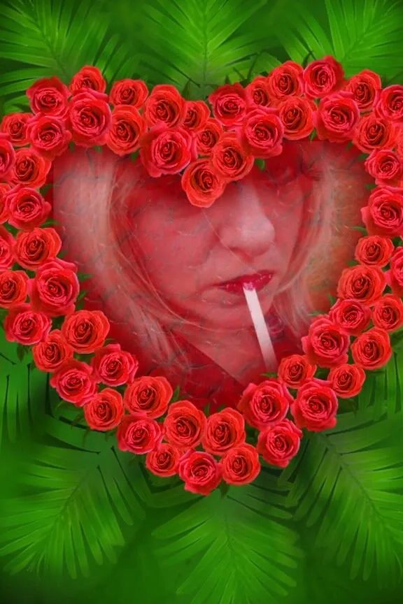 SHIRLEY FUN 22