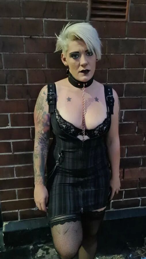 Pinkthehawk Free Photos