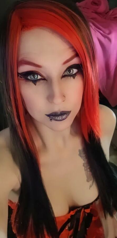 Kittie Free Photos