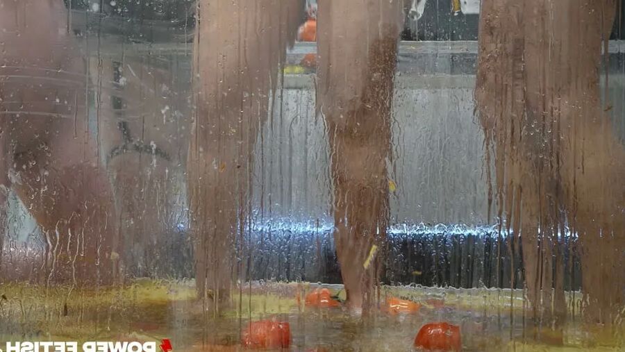 Greedy Cocksucker