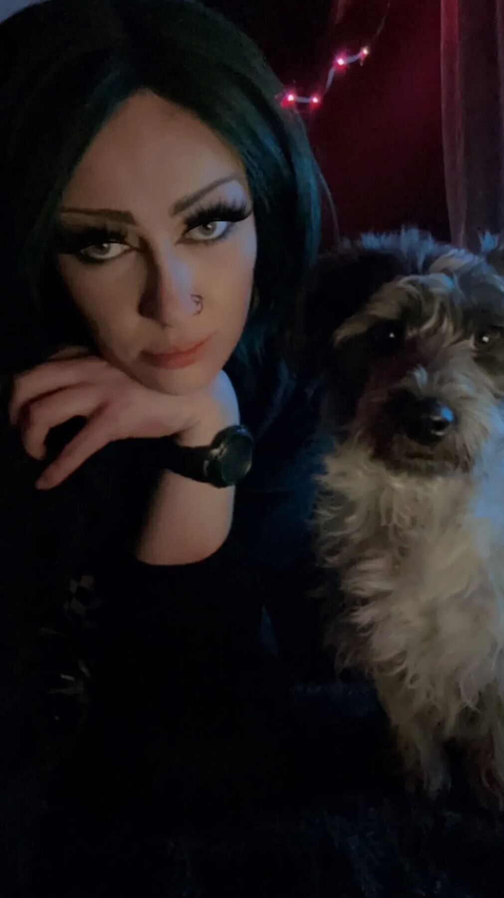Daddysxkitten / MewMew Free Photos