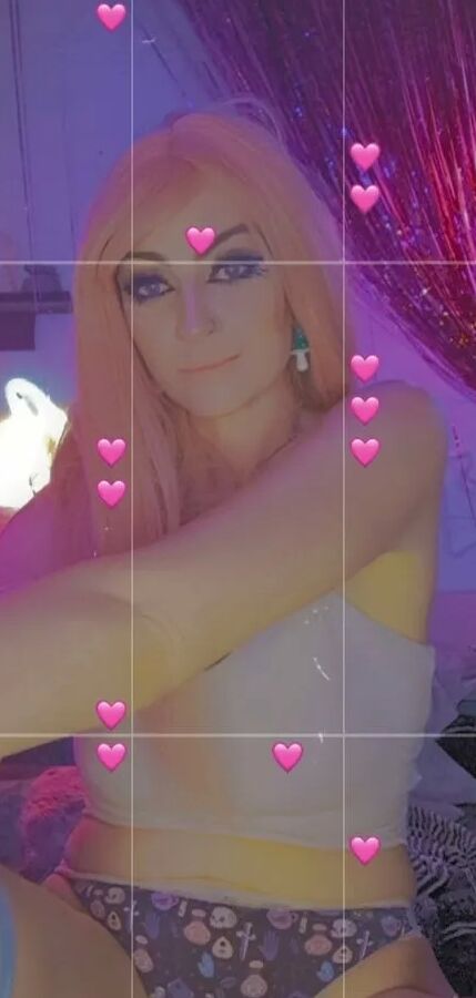 Daddysxkitten / MewMew Free Photos