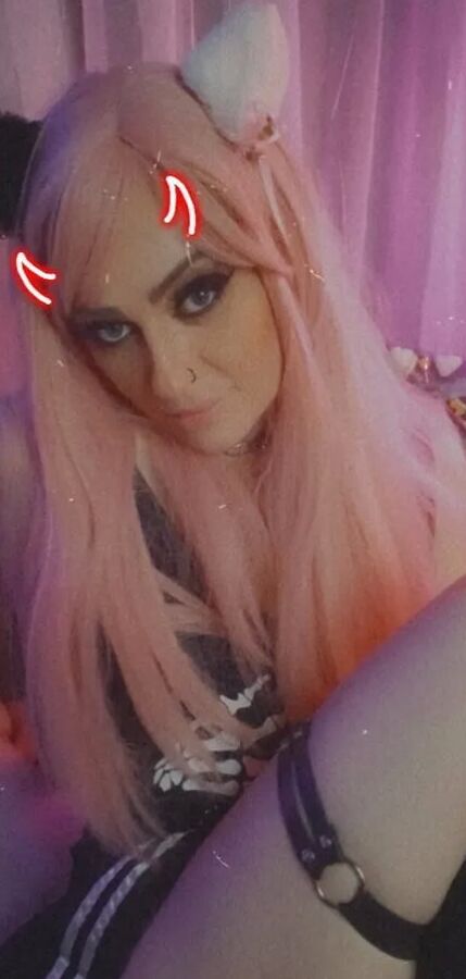 Daddysxkitten / MewMew Free Photos