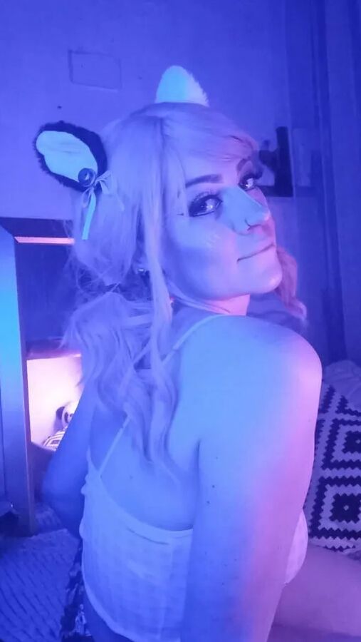 Daddysxkitten / MewMew Free Photos