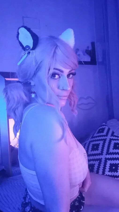 Daddysxkitten / MewMew Free Photos
