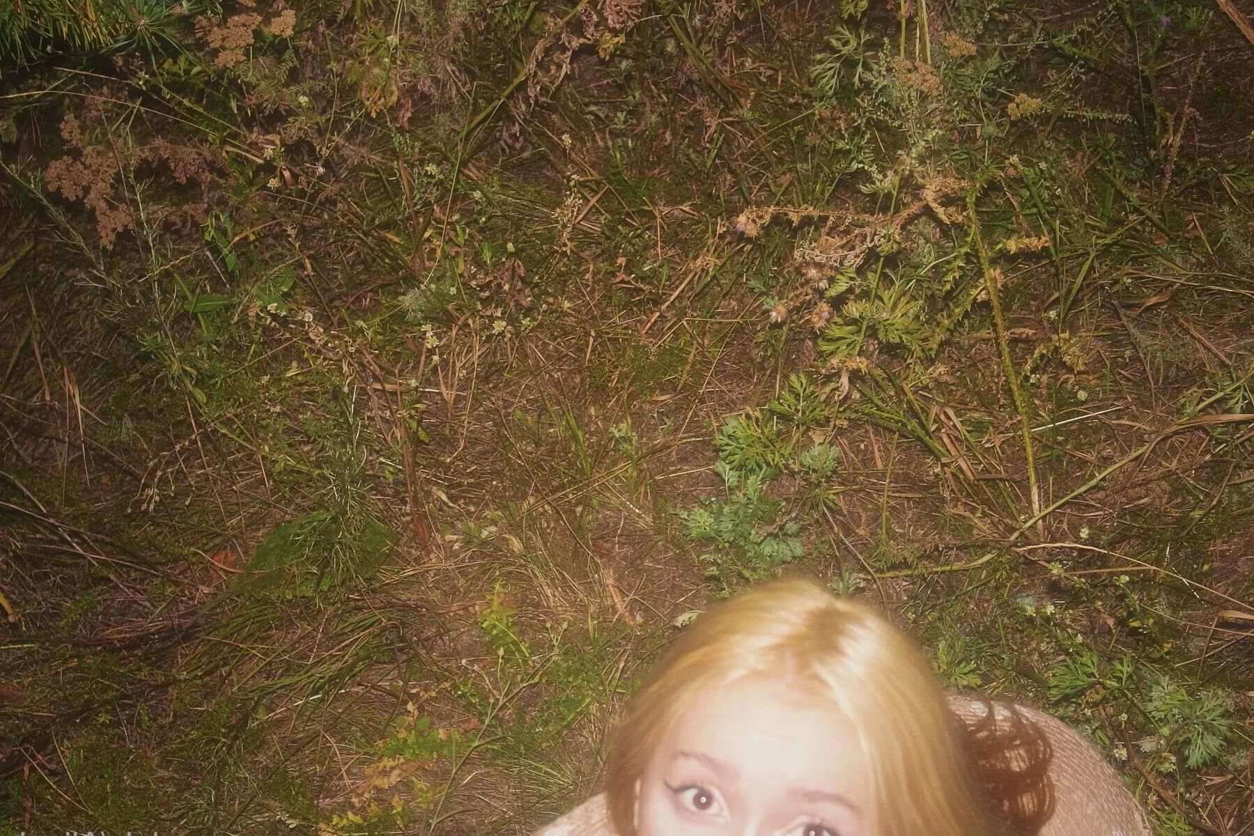 AliceLolly Free Photos