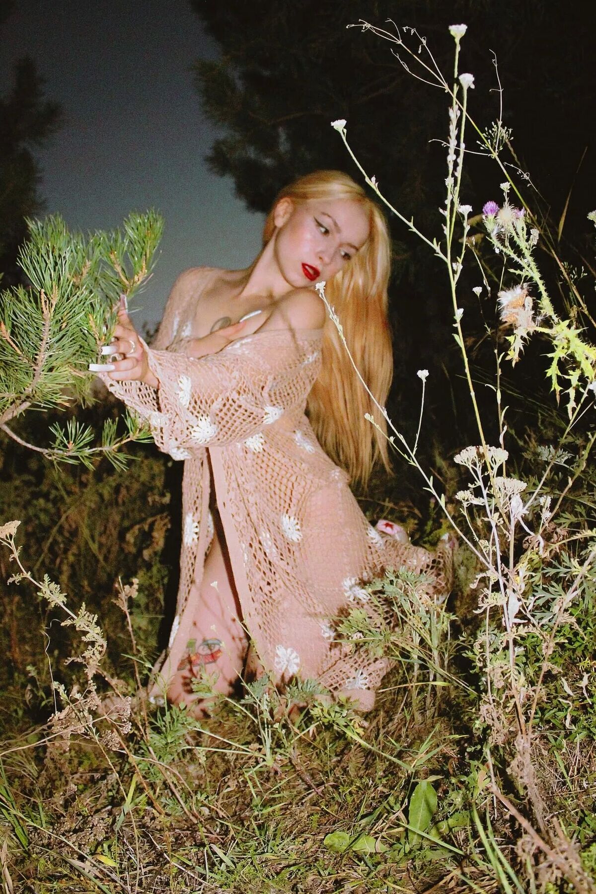 AliceLolly Free Photos