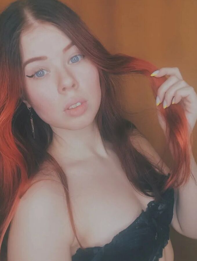 Iris Flores Free Photos