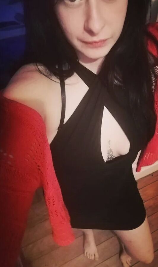Bitch Free Photos