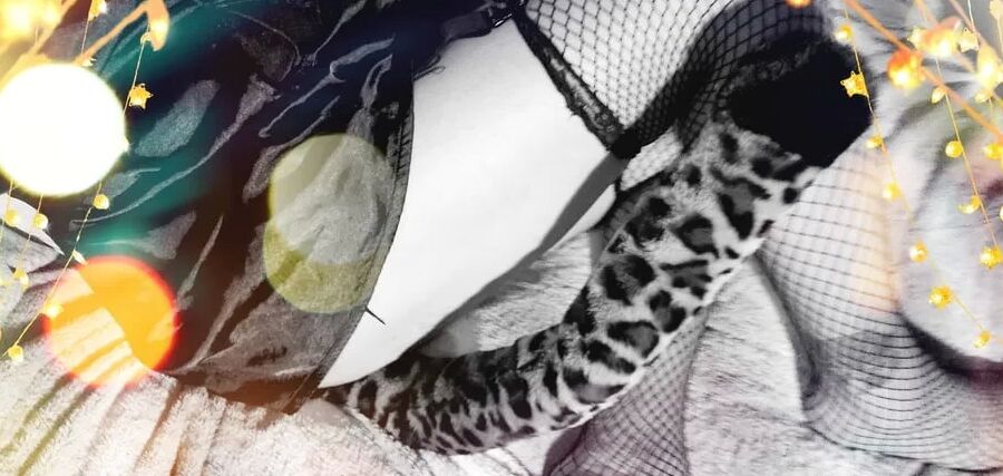 In a kitty kinda mood.