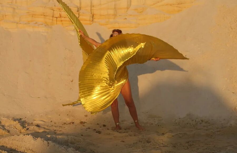 With Golden Wings on Setting Sun