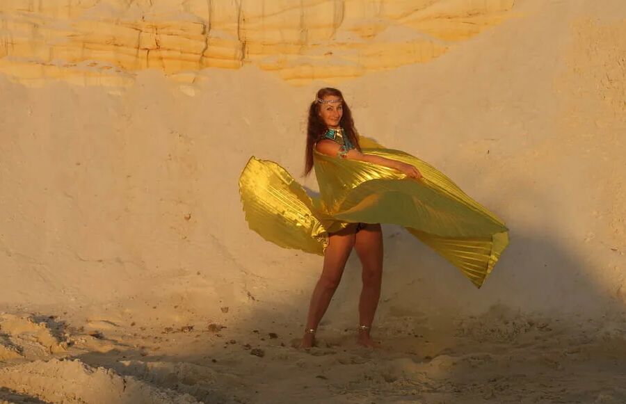 With Golden Wings on Setting Sun