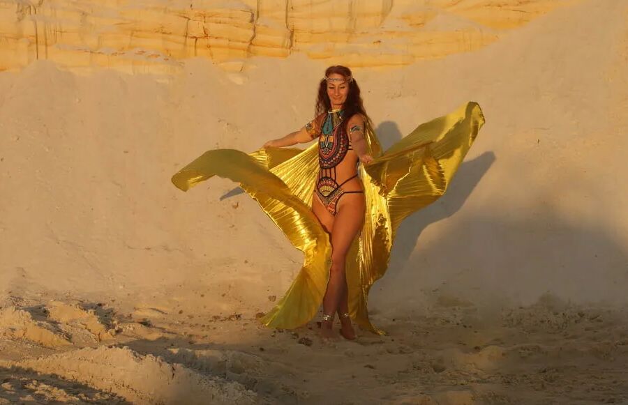 With Golden Wings on Setting Sun