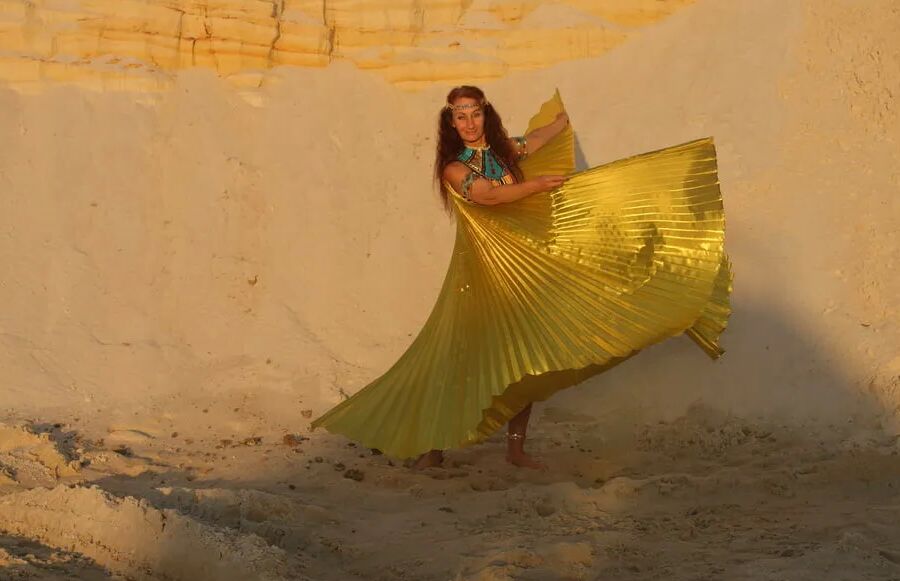 With Golden Wings on Setting Sun